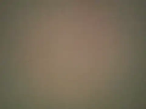 lovense test04 online show from 22, 10, 2025