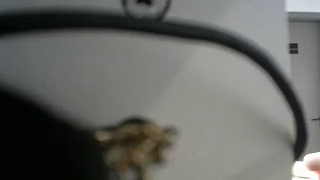 lovense test04 online show from 19, 9, 2025