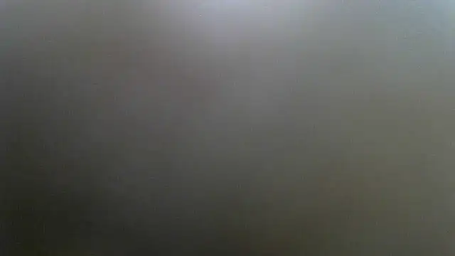 lovense test04 online show from 4, 3, 2025