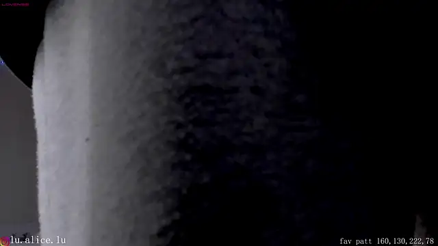 alicelu  online show from 8, 2, 2025