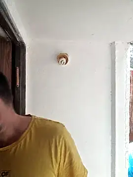 zefside42 online show from 8, 10, 2025