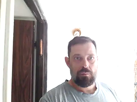 zefside42 online show from 17, 11, 2025