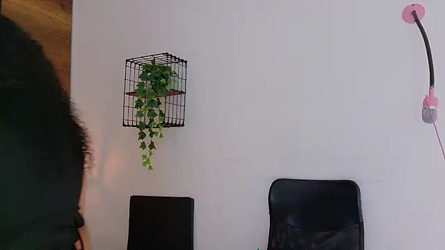 memphiswilliam online show from 17, 1, 2026