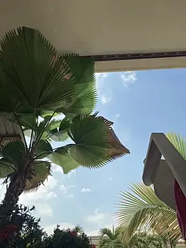 Snapshot of Ema_azel chatting on 9, 3, 2025 Ema azel online show from 9, 3, 2025