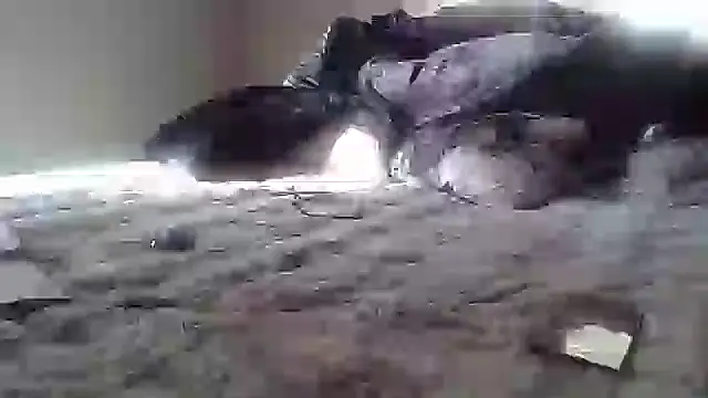 cassieleeknight11 online show from 17, 1, 2025