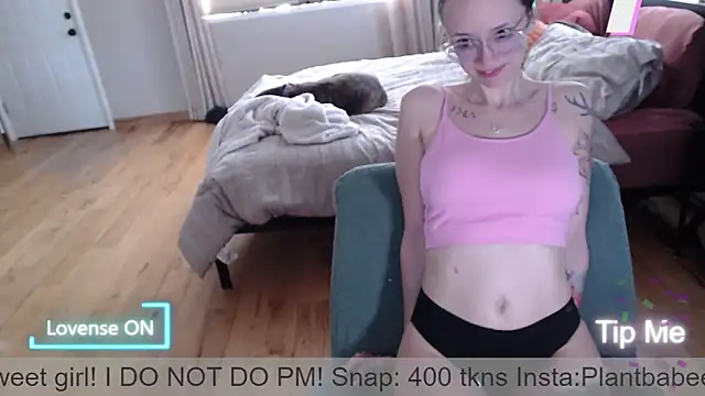 Plantbabeee online show from 8, 5, 2026