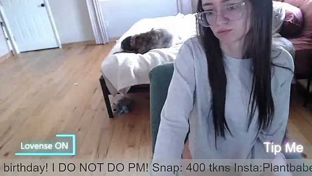 Plantbabeee online show from 2, 6, 2026