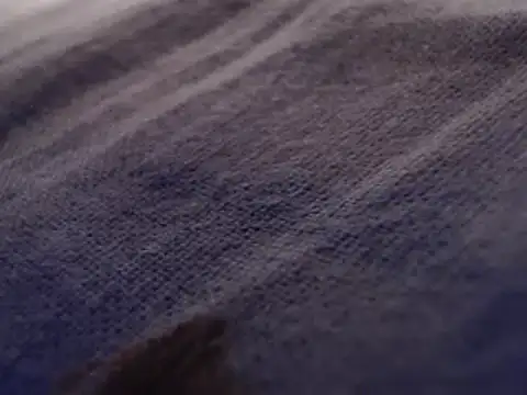 FleshlightFan online show from 26, 1, 2025