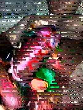 EZEL-59 online show from 15, 2, 2026