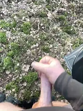 pietpietersen online show from 6, 3, 2026