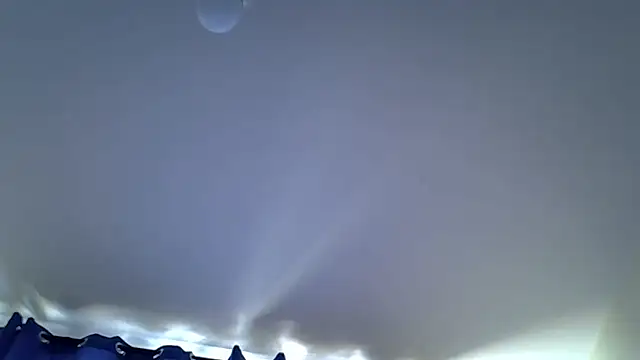 sweet darlli online show from 13, 7, 2026