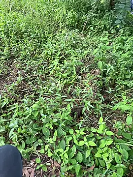 Miss  Malaika online show from 5, 10, 2025