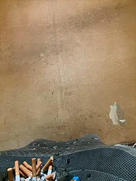 punk0805 online show from 5, 10, 2025