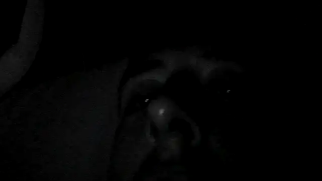 breedyouraw40 online show from 12, 1, 2026