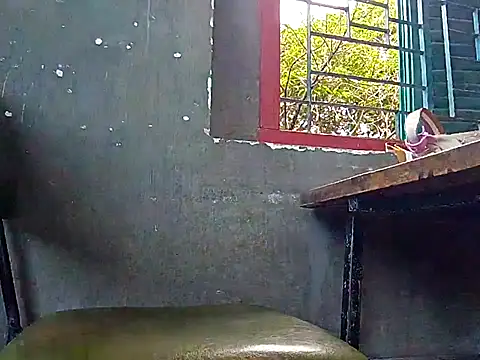 Fiola-Ly online show from 3, 11, 2025