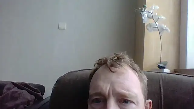 bertolini online show from 2, 2, 2026