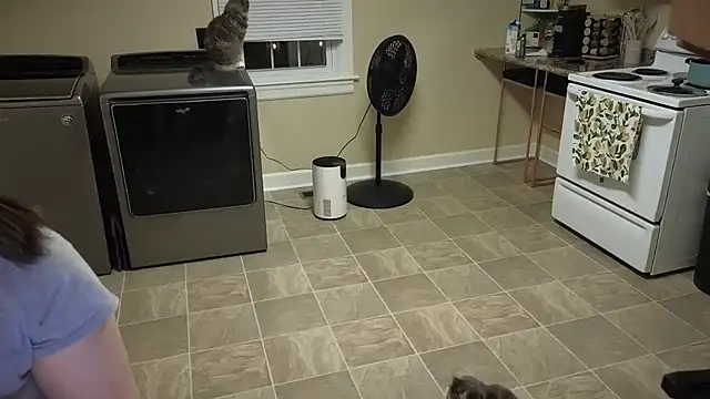 sexylilly69 online show from 25, 9, 2025