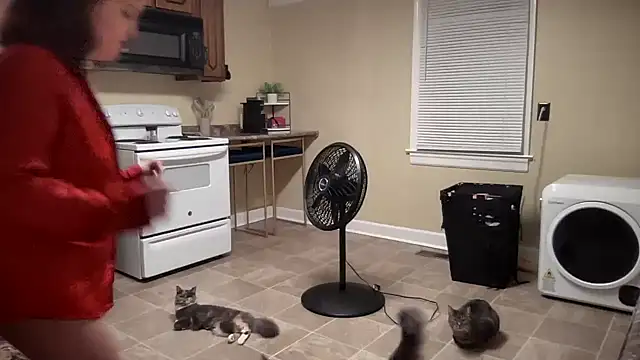 sexylilly69 online show from 3, 3, 2025