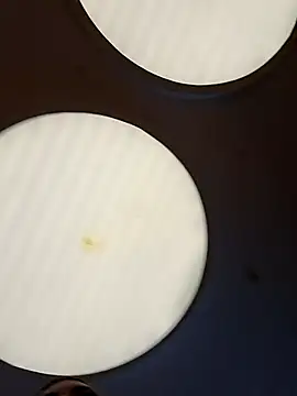 CanelitaPasion online show from 11, 2, 2026