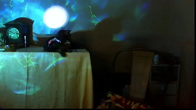 SexWorkerX online show from 17, 12, 2025