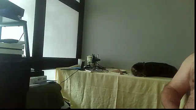 SexWorkerX online show from 15, 11, 2025