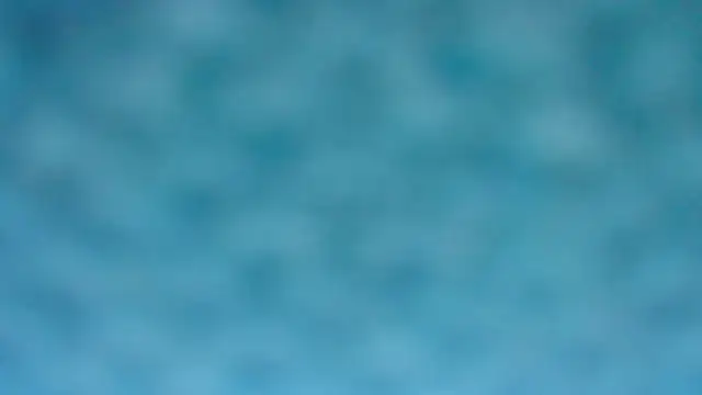 BarbaraTurners online show from 8, 10, 2025