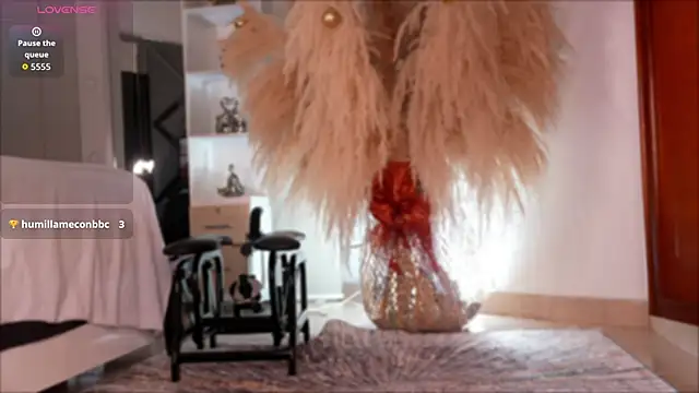 niiaa1 online show from 12, 11, 2025