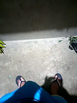 pujarteag online show from 24, 3, 2026