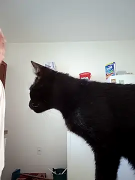 Escarlate4you  online show from 22, 3, 2026