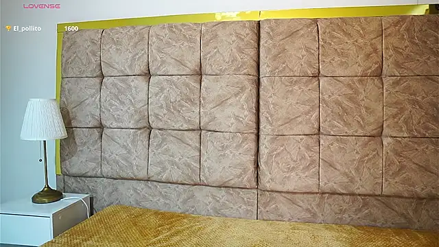 ShelleyMorell online show from 6, 3, 2026