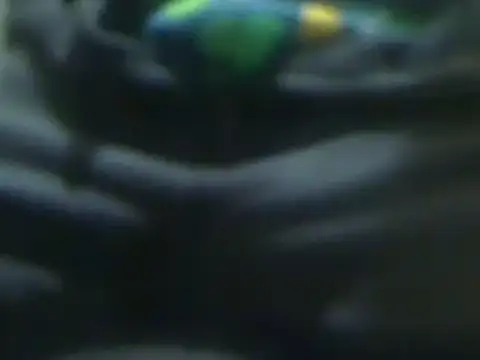 markluvskitty online show from 14, 3, 2025