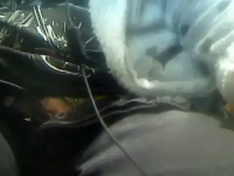 markluvskitty online show from 7, 3, 2025