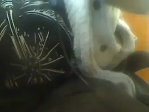 markluvskitty online show from 7, 3, 2025