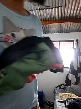 littlemelii online show from 1, 10, 2025