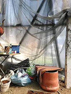 EmmaSquirt online show from 20, 3, 2025