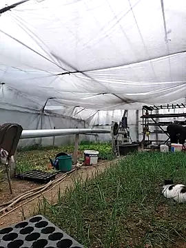 EmmaSquirt online show from 18, 3, 2025