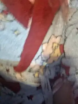  Kitti  online show from 6, 2, 2026