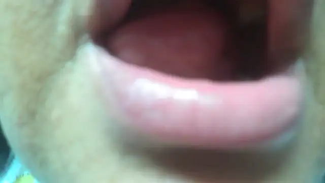 Shanttal0272 online show from 29, 3, 2026