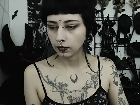 n0sferatus   online show from 23, 5, 2026