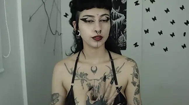 n0sferatus   online show from 30, 1, 2025