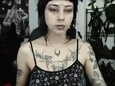 n0sferatus   online show from 30, 5, 2026