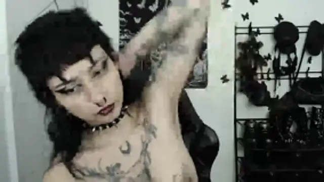 n0sferatus   online show from 14, 11, 2025