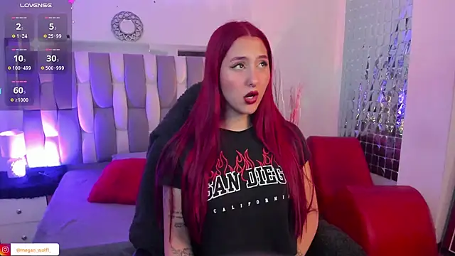 Megan wolf1  online show from 6, 2, 2025