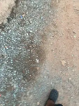 Black-mamba-madingo online show from 9, 11, 2025