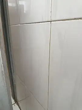 Black-mamba-madingo online show from 8, 1, 2026