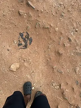 Black-mamba-madingo online show from 12, 9, 2025