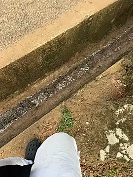 Black-mamba-madingo online show from 3, 10, 2025