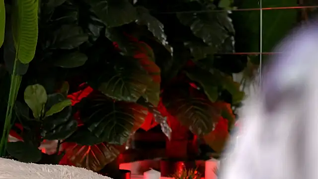 KellyMathews online show from 10, 4, 2026