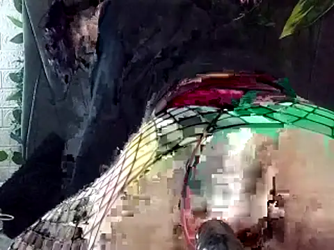 Devilnia9 online show from 4, 2, 2026