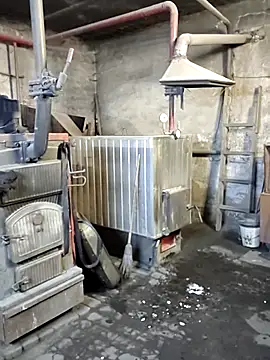 MityaXLoves online show from 22, 12, 2025